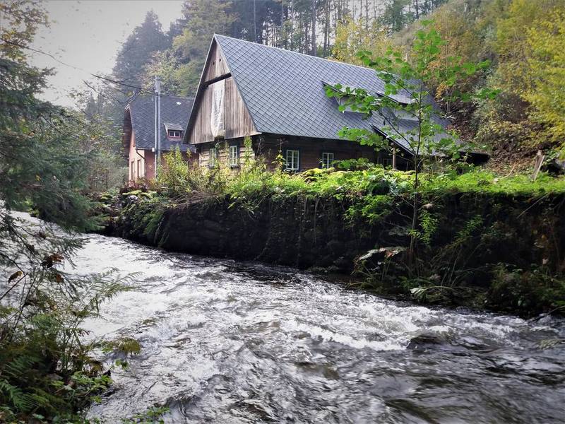 Údolí Olešenky – rozc.